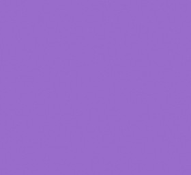 Viola lilla